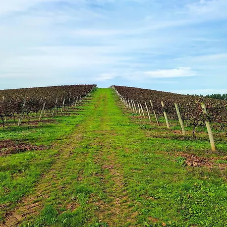 Historic Vineyard Retreat - 1785 Country In Peral Casa vacanze