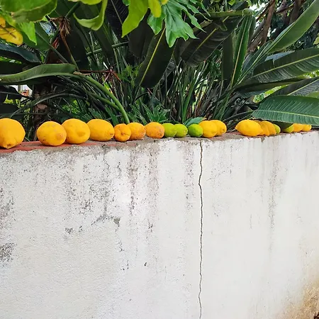 Historic Vineyard Retreat - 1785 Country In Peral