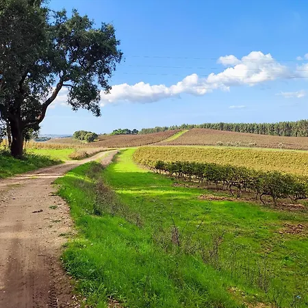 Historic Vineyard Retreat - 1785 Country In Peral Casa vacanze *