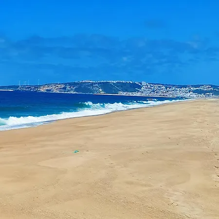 Historic Vineyard Retreat - 1785 Country In Peral Casa vacanze Peral (Lisbon)