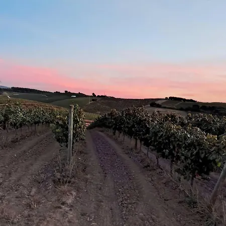 Historic Vineyard Retreat - 1785 Country In Peral *